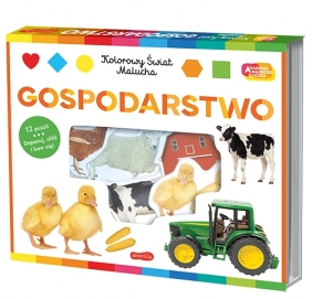 Gospodarstwo. Akademia mądrego dziecka. Kolorowy świat malucha - Opracowanie zbiorowe