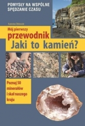 Jaki to kamień? - Żbikowski Radosław