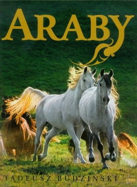 Araby Dzieci wiatru - Strumiłło Andrzej