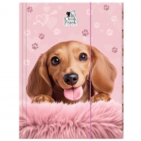 Teczka z gumką A4 - Cleo i Frank 46 (Pies)