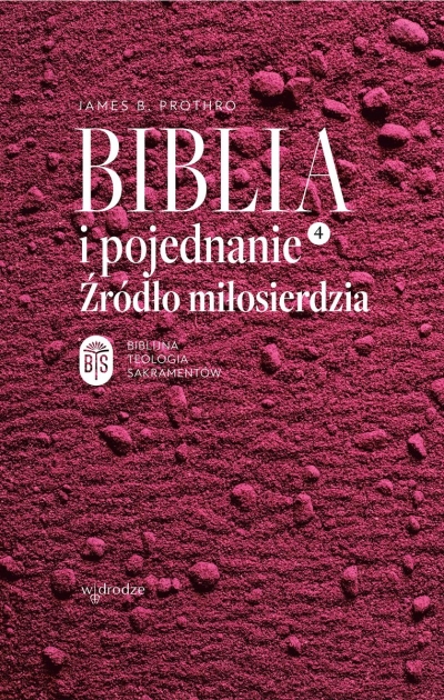 <img src='https://webimage.pl/pics/279/9/d9788379069279.jpg' style='height:440px' /> Biblia i pojednanie. Źródło miłosierdzia
