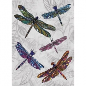 Karnet B6 z kopertą Dragonfly Dance (MWB 028)