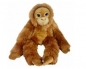 Orangutan big eyes 50cm