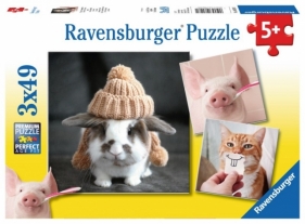 Puzzle 3x49 elementów - Śmieszne portrety zwierząt (080281)