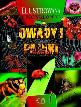 Owady i pająki
