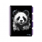 Kołozeszyt Strigo Pads Project Book B5 linia - Panda