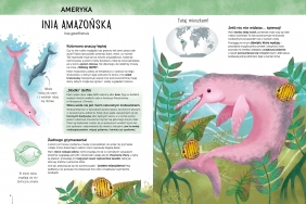 Zadziwiające zwierzęta świata. Atlas bioróżnorodności - Durand Emanuela