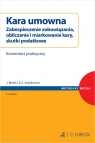  Kara umowna. Zabezpieczenie zobowiązania, obliczanie i miarkowanie kary, skutki