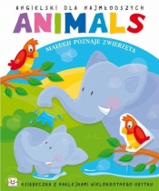 Angielski dla najmłodszych Animals - Agnieszka Bator