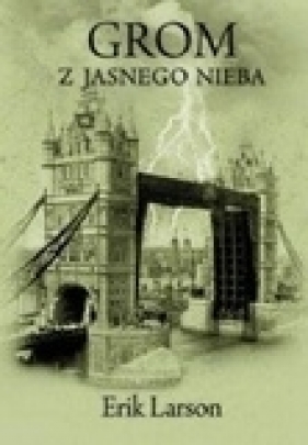 Grom z jasnego nieba - Larson Erik