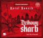 Dzikowy skarb - Karol Bunsch