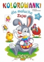 Kolorowanki dla malucha Zając - Ernest Błędowski