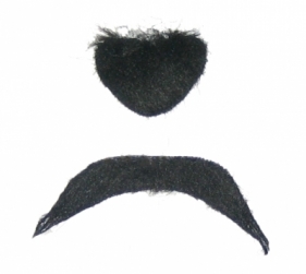 Wąsy