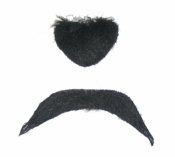 Wąsy