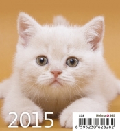 Kalendarz 2015 Kociaki Mini Helma - <br />