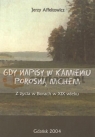 Gdy napisy na kamieniu porosną mchem. Z życia w Borach w XIX wieku