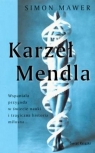 Karzeł Mendla