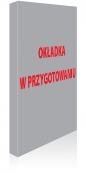 Nowy Jork light przewodnik + mapa