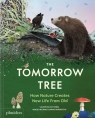 The Tomorrow Tree. How Nature Creates New Life From Old Maciej Michno