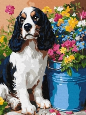 Malowanie po numerach - Uroczy spaniel 30x40cm