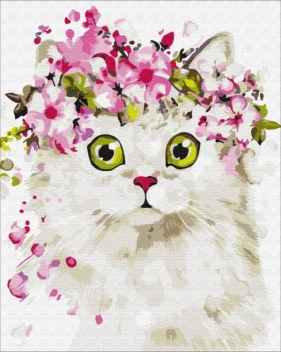 Obraz Malowanie po numerach - Zaskoczony kotek (BS51840)