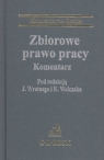 Zbiorowe prawo pracy Komentarz