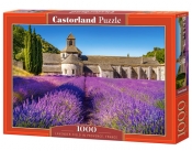 Puzzle Lavender Field in Provence 1000 (C-104284)