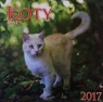 Kalendarz 2017 KD-21 ścienny duży Koty
