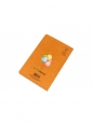 Planer Balony