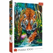 Trefl, Puzzle 1000: Drapieżny Tygrys (10528)