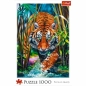 Trefl, Puzzle 1000: Drapieżny Tygrys (10528)