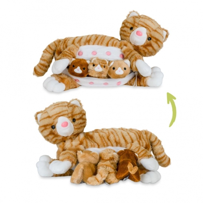 <img src='https://webimage.pl/pics/285/7/d0769503687285.jpg' style='height:440px' /> Mama kotek ruda z małymi