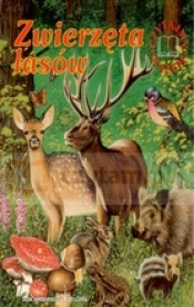 Zwierzęta lasów