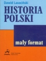 Historia Polski Lasociński Dawid