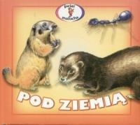 Pod ziemią