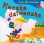 Kaczka-dziwaczka - Jan Brzechwa