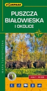 Puszcza Białowieska i okolice