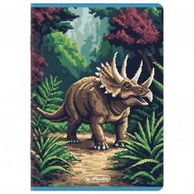 Zeszyt Herlitz Premium Pixel Fun A5/16k linia podwójna kolorowa, 1 szt