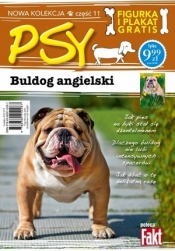 Buldog angielski. Kolekcja Psy. Część 11. Fakt poleca (figurka + plakat) - Opracowanie zbiorowe