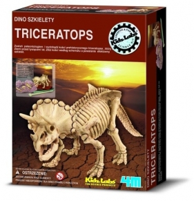 Dino szkielety Triceratops (3228)
