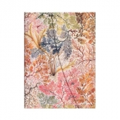 Notes Anemone Midi Linia