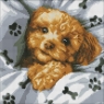  Diamentowa mozaika - Uroczy Maltipoo 40x40cm