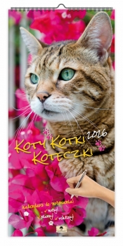 Kalendarz 2026 paskowy szeroki - Koty, kotki, koteczki