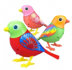 DigiBirds 2 Zestaw Premium Raindrop / Dawn / Scarle