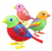 DigiBirds 2 Zestaw Premium Raindrop / Dawn / Scarle