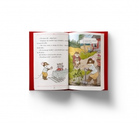 Myszonek w krainie baśni - Riikka Jäntti