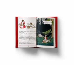 Myszonek w krainie baśni - Riikka Jäntti