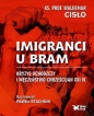 Imigranci u bram. Kryzys uchodźczy i męczeństwo chrześcijan XXI w. - Paweł Stachnik, Waldemar Cisło