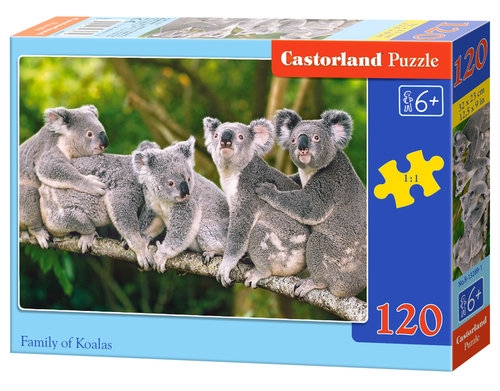 Puzzle 120: Family of Koalas