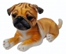  Pies mops
